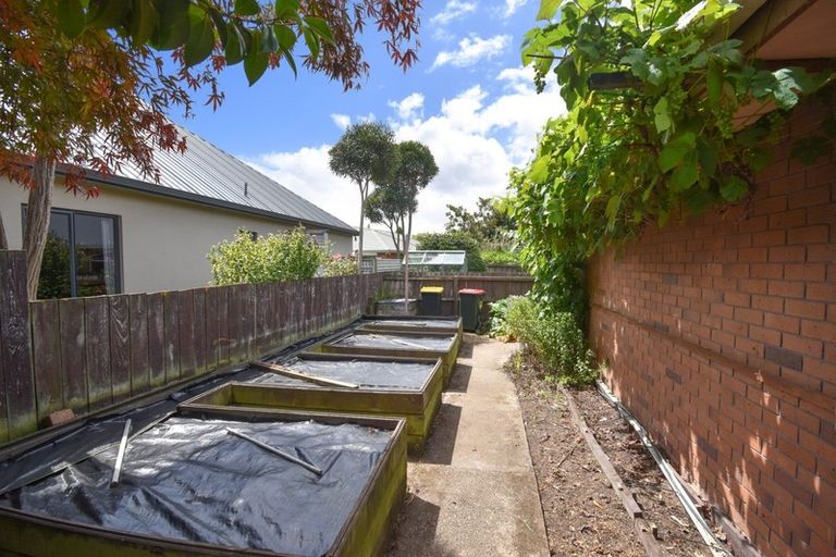 Photo of property in 11 Maple Grove, Mosgiel, 9024