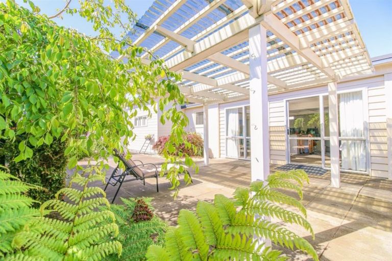 Photo of property in 38/2 Alma Road, Gonville, Whanganui, 4501