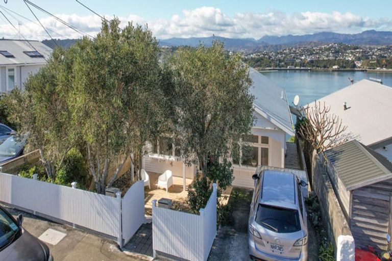 Photo of property in 41 Overtoun Terrace, Hataitai, Wellington, 6021