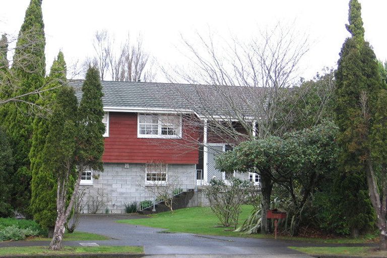 Photo of property in 24 Opawa Place, Terrace End, Palmerston North, 4410