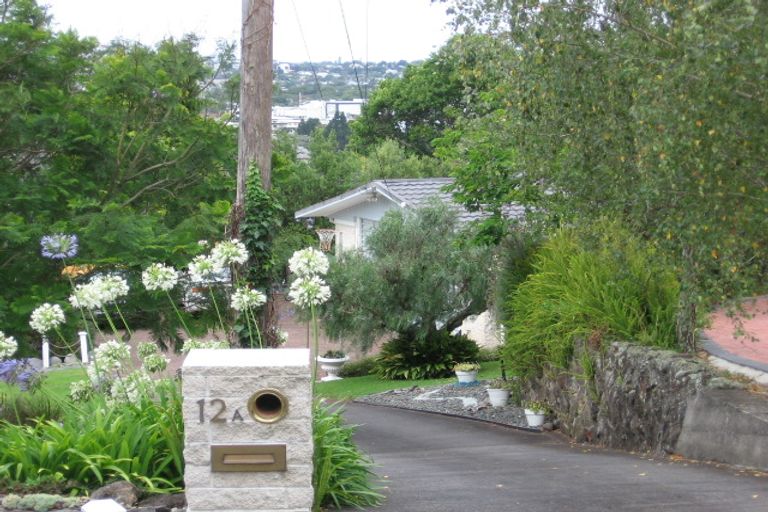 Photo of property in 12a Sadgrove Terrace, Mount Albert, Auckland, 1025