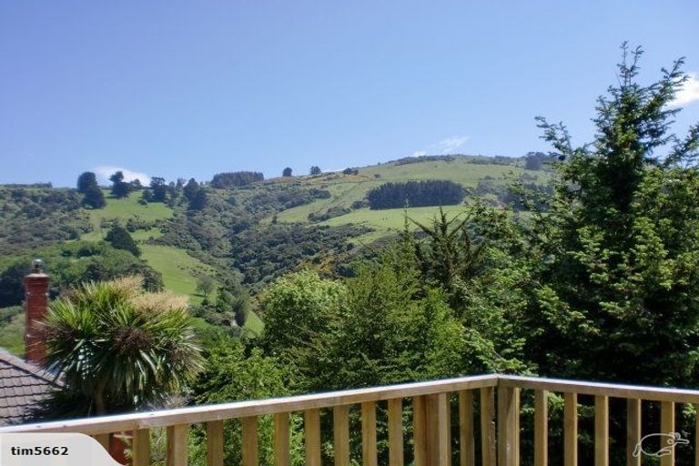 Photo of property in 37 Birchfield Avenue, North East Valley, Dunedin, 9010