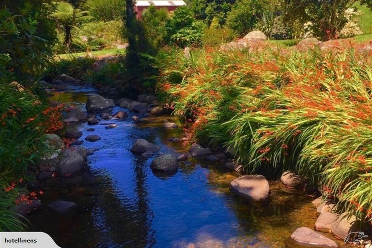 Photo of property in 347 Busby Road, Tahawai, Katikati, 3170