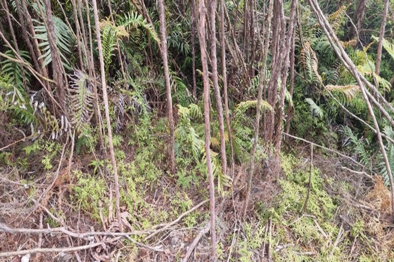 Photo of property in State Highway 67, Waimangaroa, Westport, 7891