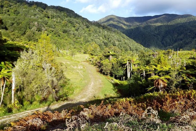 Photo of property in 875 Umere Road, Karamea, 7893