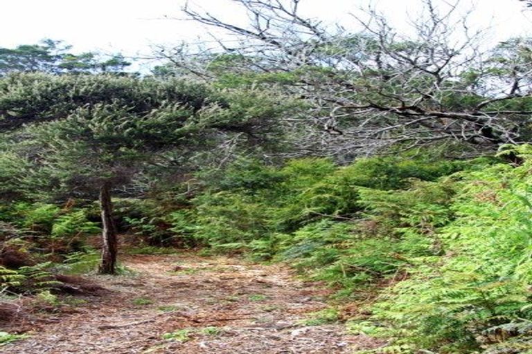 Photo of property in 63 Trig Road, Houhora, Kaitaia, 0484