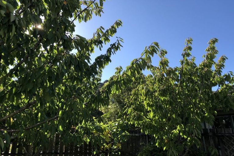 Photo of property in 44 Hazlewood Avenue, Karori, Wellington, 6012