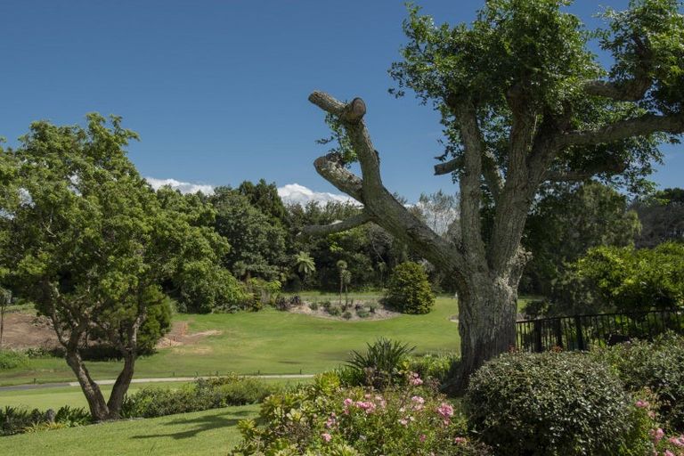 Photo of property in 5 Ashwood Grove, Omokoroa, 3114