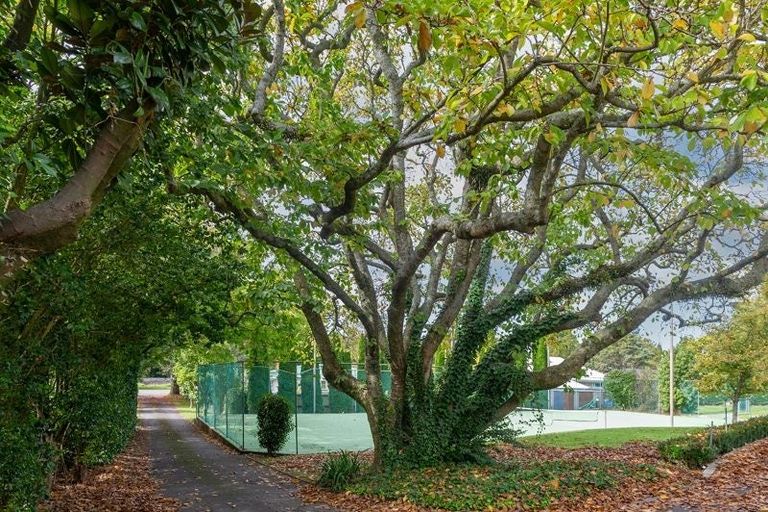 Photo of property in 163 Firth Street, Matamata, 3400