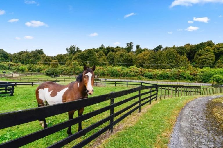 Photo of property in 755 Dansey Road, Ngongotaha Valley, Rotorua, 3072