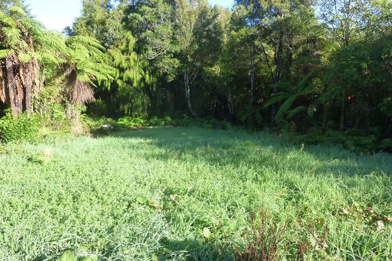 Photo of property in 6 Punga Grove, Lake Kaniere, Kokatahi, 7881