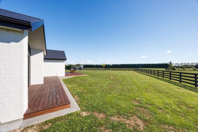 Photo of property in 79 Jackeytown Road, Tiakitahuna, Palmerston North, 4477