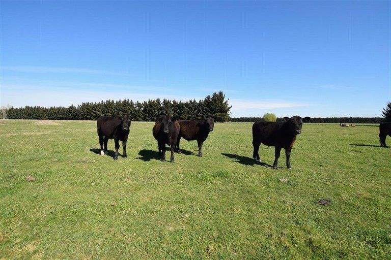 Photo of property in 46 Isaac Road, Eyrewell, Rangiora, 7476