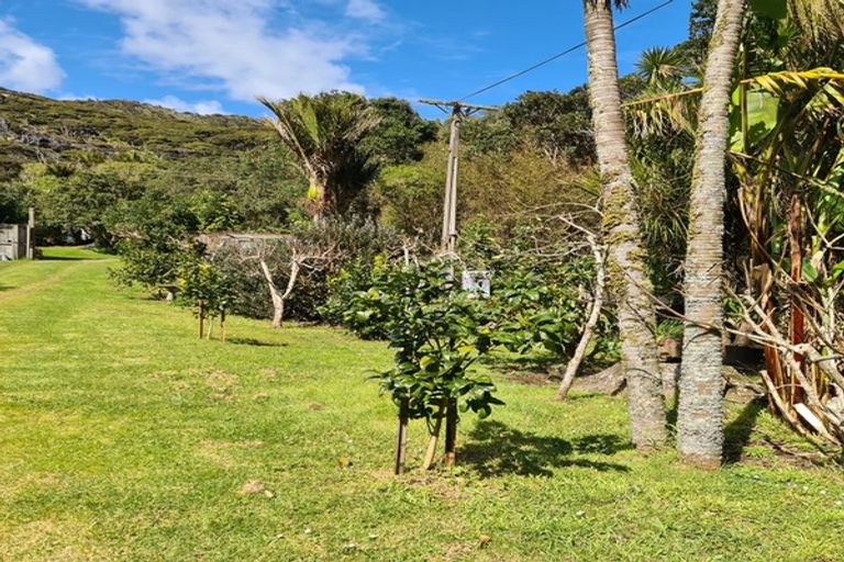 Photo of property in 10-12 Glenesk Road, Piha, New Lynn, 0772