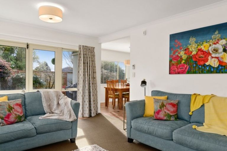 Photo of property in 43a Lynmore Avenue, Lynmore, Rotorua, 3010