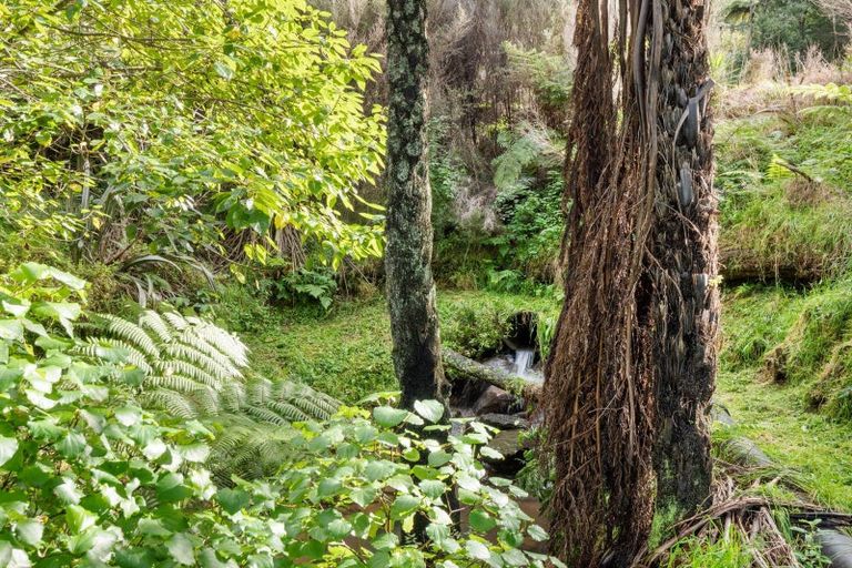 Photo of property in 225c Woodland Road, Tahawai, Katikati, 3170