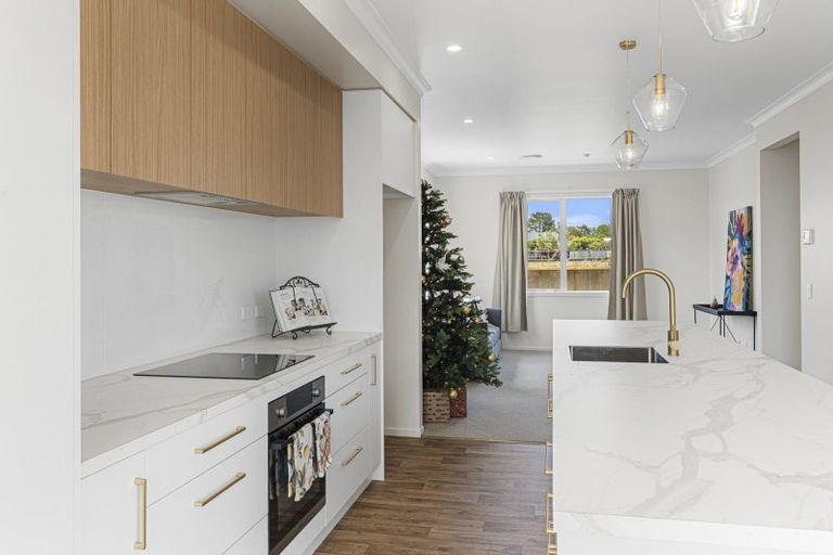 Photo of property in 40c Mahoe Street, Inglewood, 4330