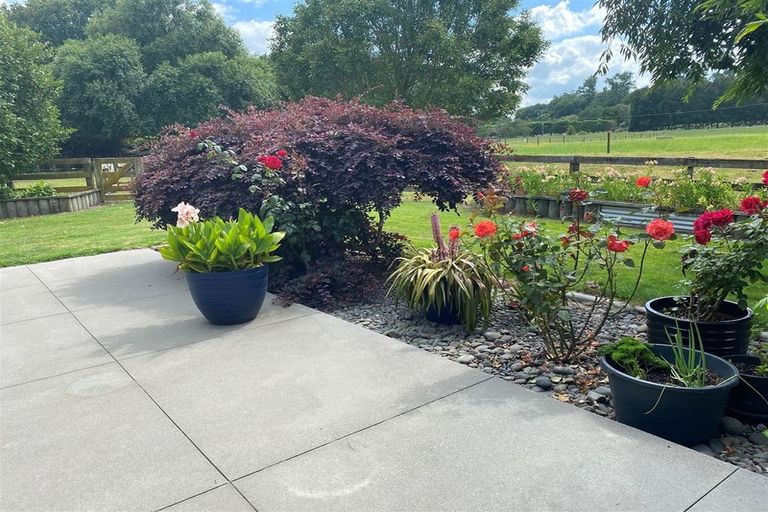 Photo of property in 97 Horrell Road, Morrinsville, 3374