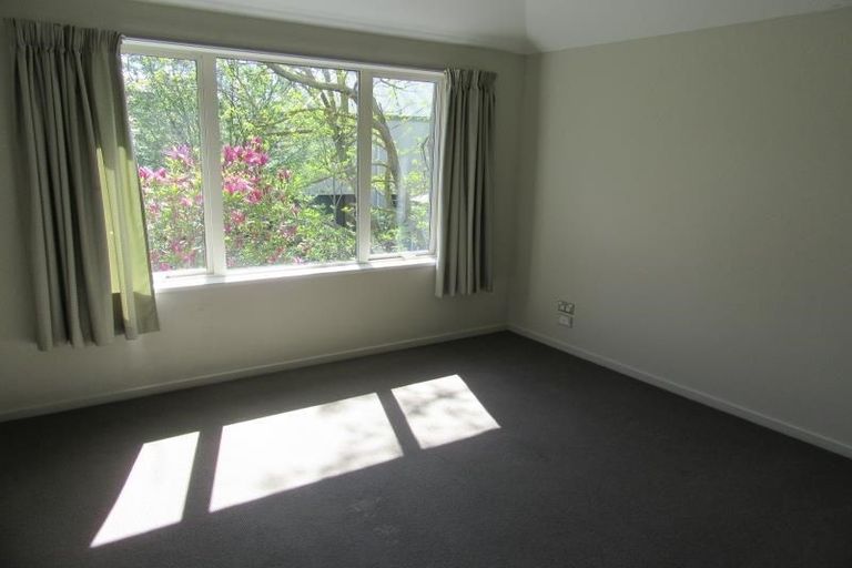 Photo of property in 195 Milton Street, Sydenham, Christchurch, 8023