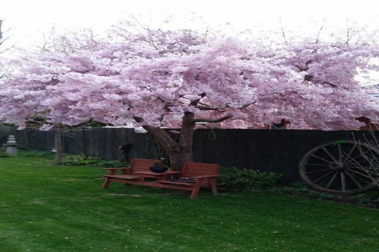 Photo of property in 18 Paget Drive, Woodend, 7610