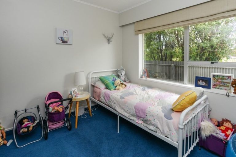 Photo of property in 502 Poplar Place, Akina, Hastings, 4122