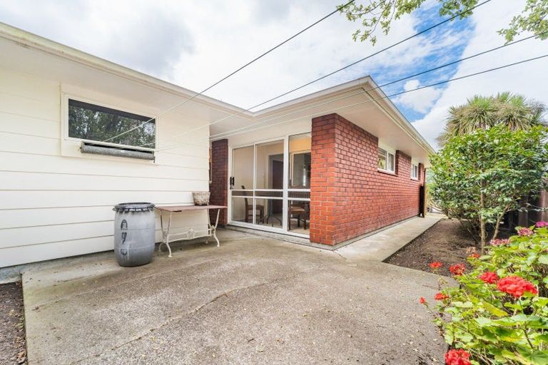 Photo of property in 45 Dittmer Drive, Awapuni, Palmerston North, 4412