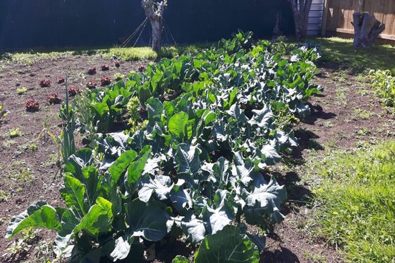 Photo of property in 28 Bear Street, Waverley, 4510