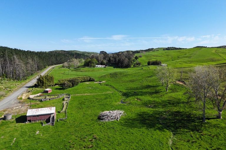 Photo of property in 445 Avoca Road, Mamaranui, Dargaville, 0372