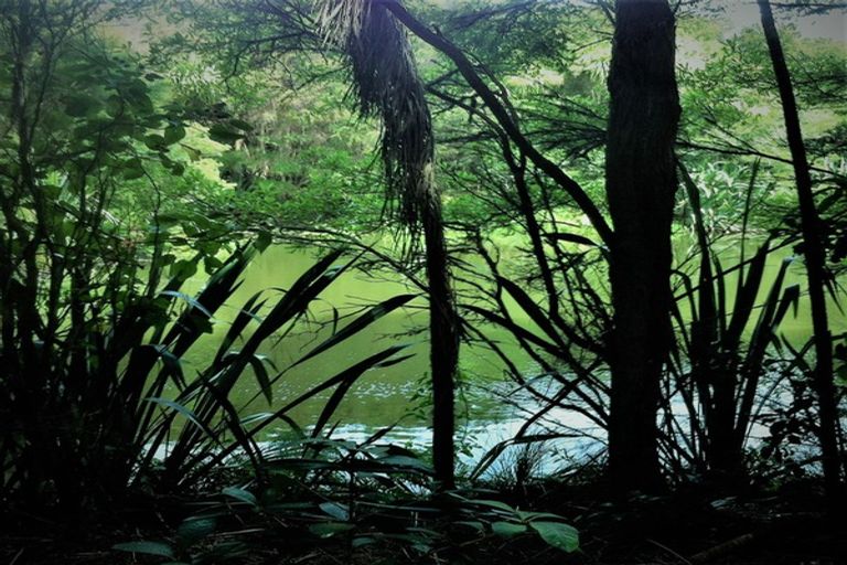 Photo of property in 174 Morrison Road, Pukekawa, Tuakau, 2696