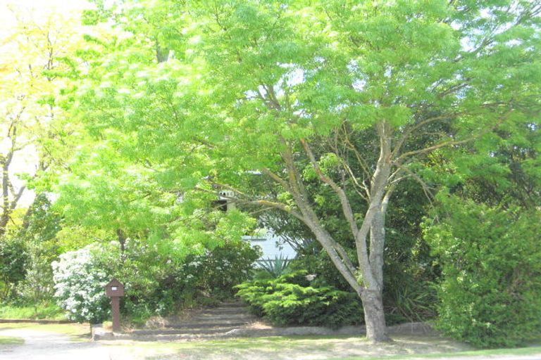 Photo of property in 313 Whitaker Street, Whataupoko, Gisborne, 4010