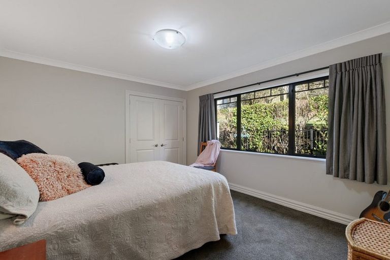 Photo of property in 55 Plummers Point Road, Whakamarama, Tauranga, 3172