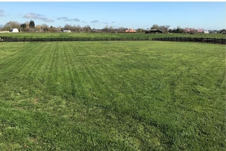 Photo of property in 24 Eldonwood Drive, Matamata, 3400