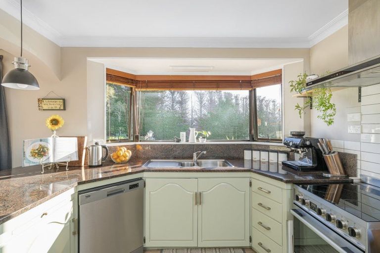 Photo of property in 210 Tuapiro Road, Tahawai, Katikati, 3170