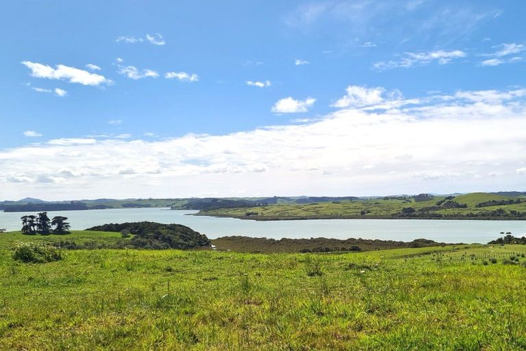 Photo of property in 304 Arapaoa Road, Tinopai, Matakohe, 0593