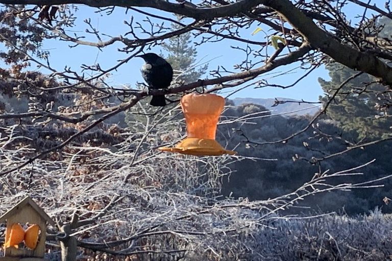 Photo of property in 162 Te Awa Road, Albert Town, Wanaka, 9382