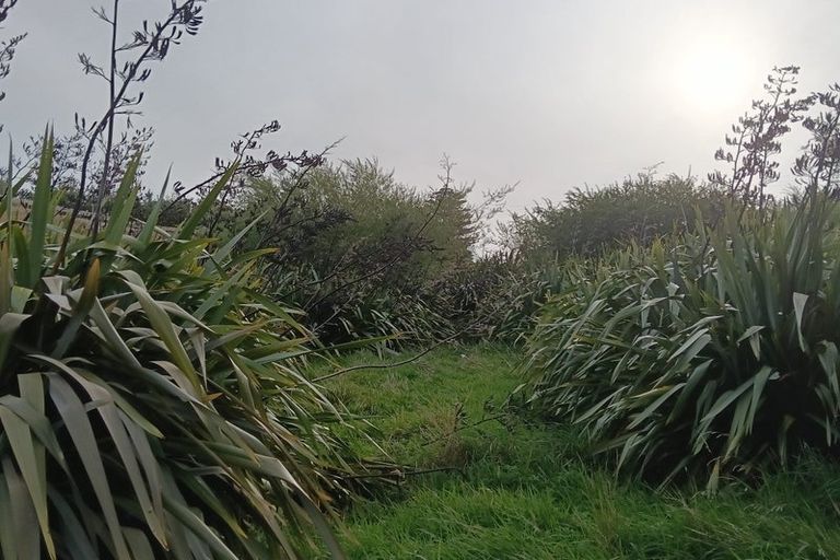 Photo of property in 422 Whangaehu Road, Porangahau, 4293