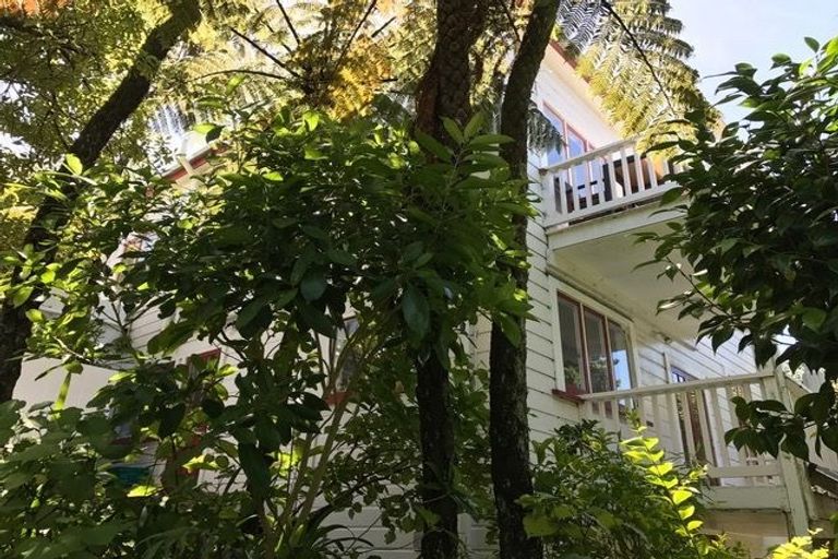 Photo of property in 59 Aurora Terrace, Hillcrest, Hamilton, 3216