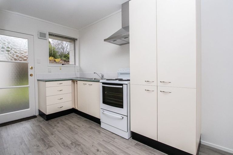 Photo of property in 24a Hazelwood Avenue, Dinsdale, Hamilton, 3204