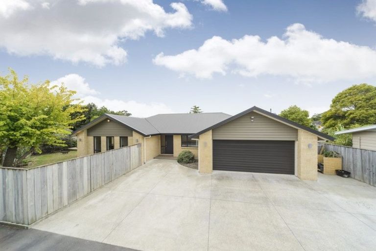 Photo of property in 517a Featherston Street, Roslyn, Palmerston North, 4414