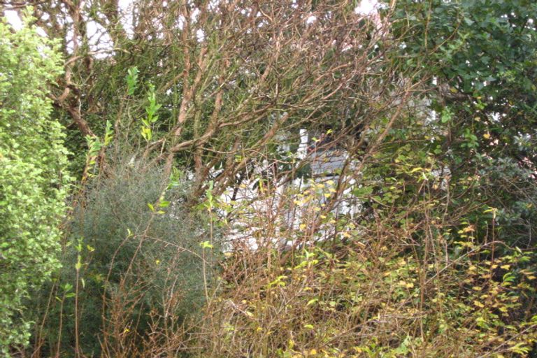 Photo of property in 1 Rotoiti Street, Maia, Dunedin, 9022