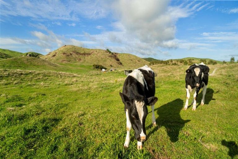 Photo of property in 111 Tarver Lane, Pikowai, Matata, 3194