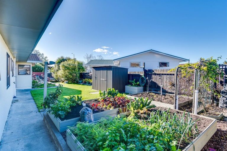 Photo of property in 1 Cardiff Place, Tamatea, Napier, 4112