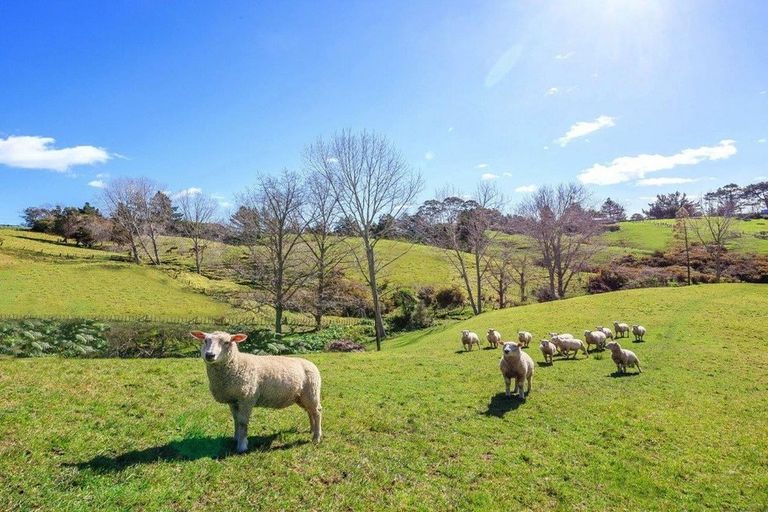 Photo of property in 33 Foley Quarry Road, Dairy Flat, Albany, 0792