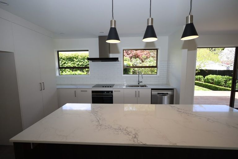 Photo of property in 79a Seventh Avenue, Tauranga, 3110