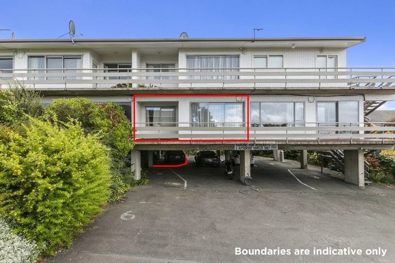 Photo of property in 19a Sheen Street, Roslyn, Dunedin, 9010