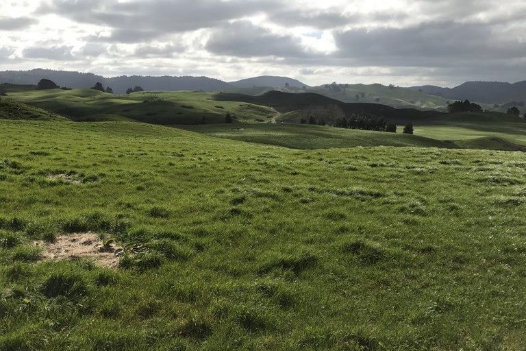 Photo of property in 274 Whakapapa Road, Ohakuri, Reporoa, 3083