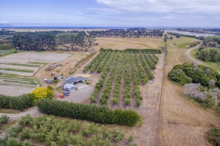 Photo of property in 22 Lethbridge Street, Feilding, 4702