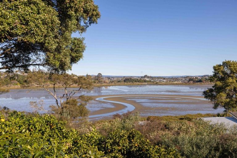Photo of property in 16 Sunny Bay Road, Matua, Tauranga, 3110