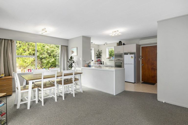 Photo of property in 33 Elliffe Place, Shiel Hill, Dunedin, 9013