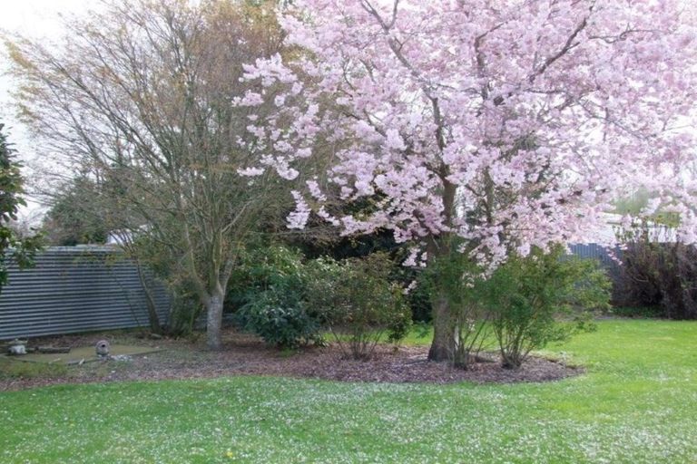 Photo of property in 76 Ajax Street, Milton, 9220